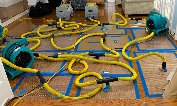 Professional Structural Drying And Dehumidification technician working in Mount Hope, NJ